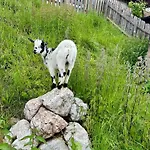 Almresort Baumschlagerberg * Vorderstoder