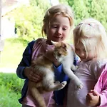 Almresort Baumschlagerberg