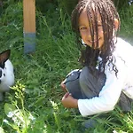 Almresort Baumschlagerberg Vorderstoder