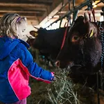 乡村民宿 Almresort Baumschlagerberg Vorderstoder