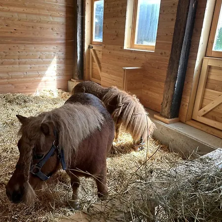 Almresort Baumschlagerberg Venkovský dům *