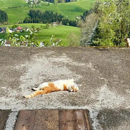 乡村民宿 Almresort Baumschlagerberg *