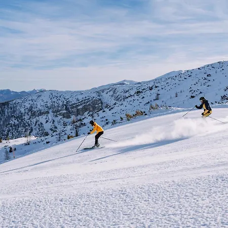 컨트리하우스 Almresort Baumschlagerberg