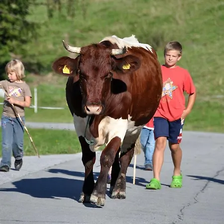 Kır Evi Almresort Baumschlagerberg Vorderstoder