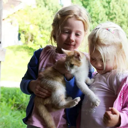 Almresort Baumschlagerberg