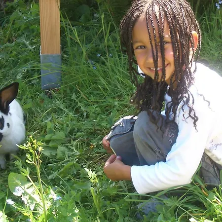 Almresort Baumschlagerberg Vorderstoder