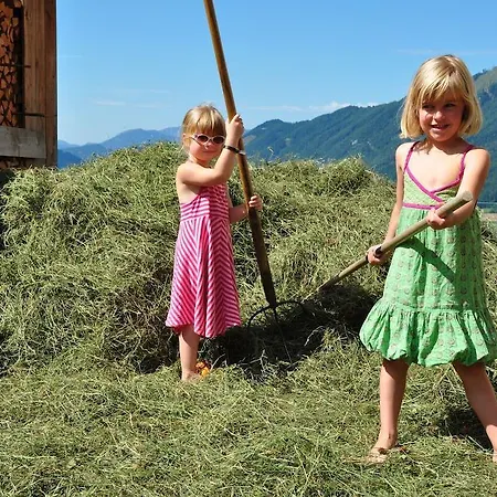 Almresort Baumschlagerberg Vorderstoder