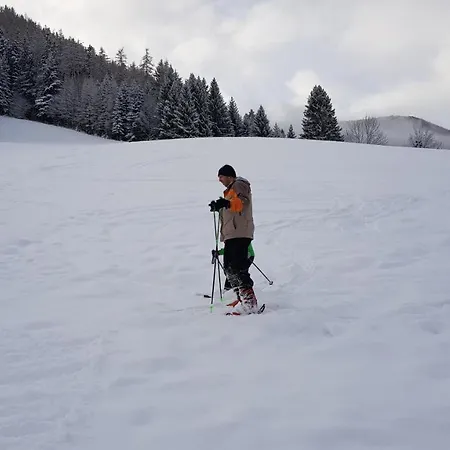 Venkovský dům Almresort Baumschlagerberg