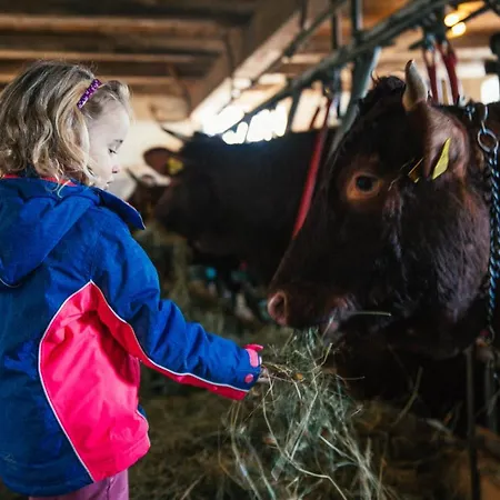 乡村民宿 Almresort Baumschlagerberg Vorderstoder