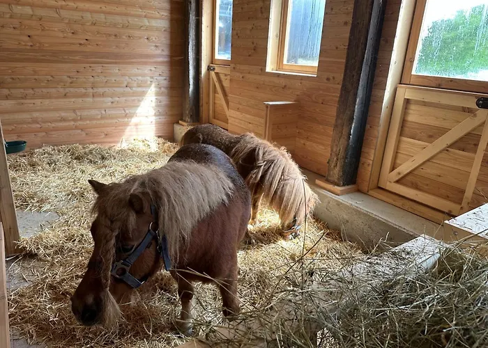 Almresort Baumschlagerberg Lantställe *