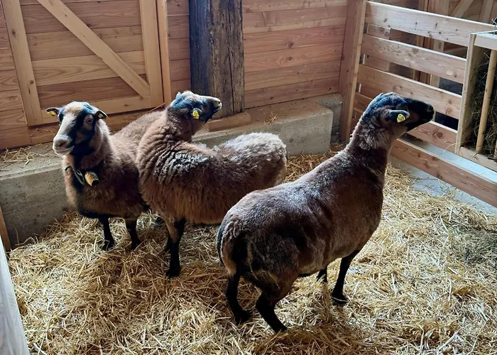 Almresort Baumschlagerberg Vorderstoder