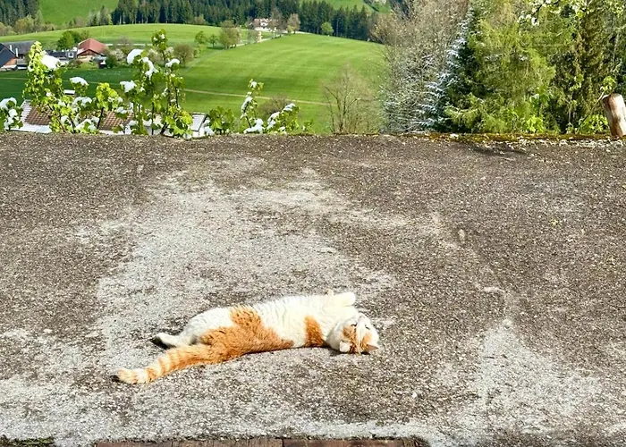 Venkovský dům Almresort Baumschlagerberg *