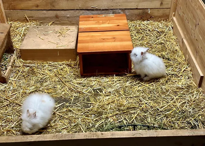 Almresort Baumschlagerberg