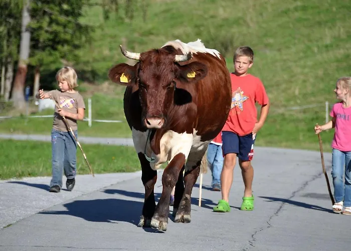 Venkovský dům Almresort Baumschlagerberg Vorderstoder