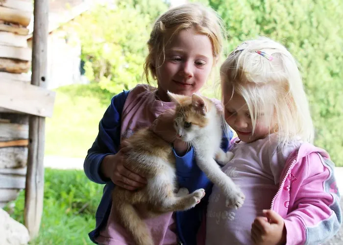 Almresort Baumschlagerberg