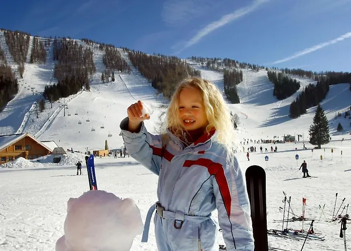 Almresort Baumschlagerberg