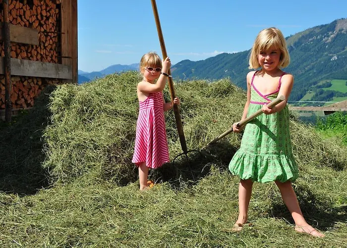 Almresort Baumschlagerberg Vorderstoder