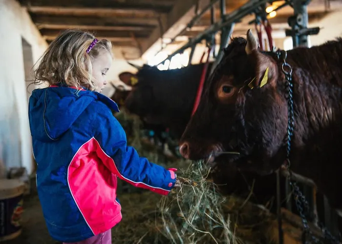 Casa de Campo Almresort Baumschlagerberg Vorderstoder