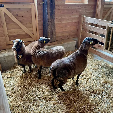 Almresort Baumschlagerberg Vorderstoder