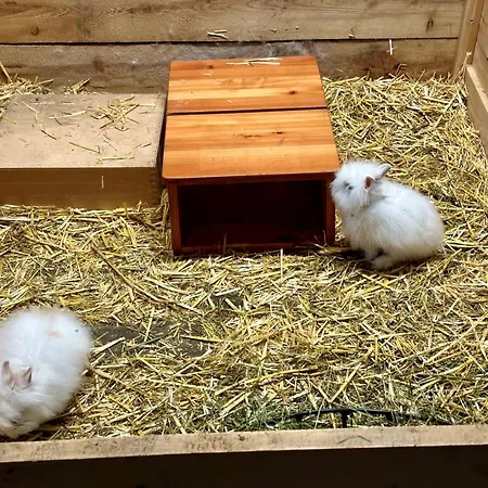 Almresort Baumschlagerberg