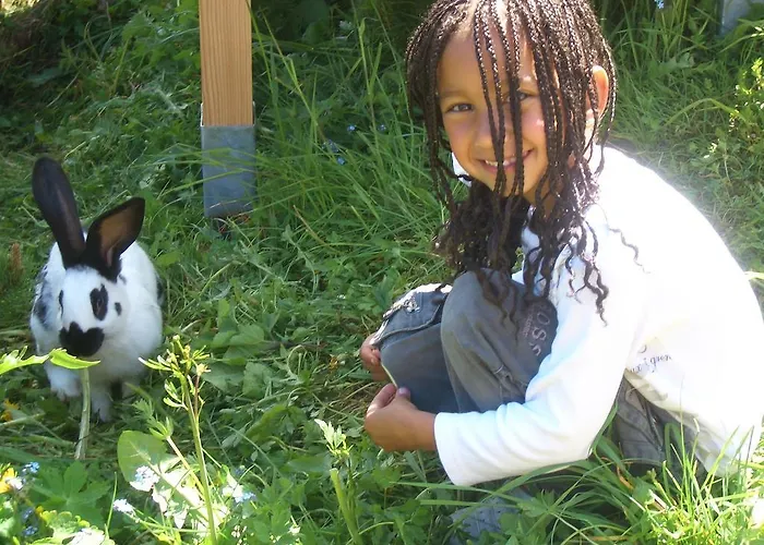 Almresort Baumschlagerberg Vorderstoder